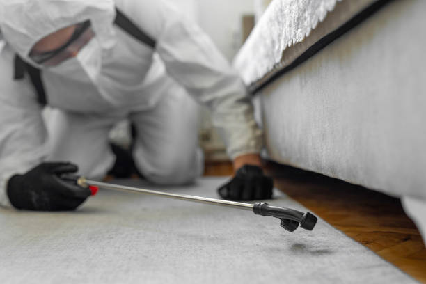 Professional Pest Control technician working in Fayette County County, AL